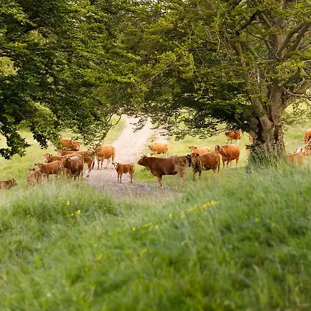 Séjour à la ferme Carovane Compiano