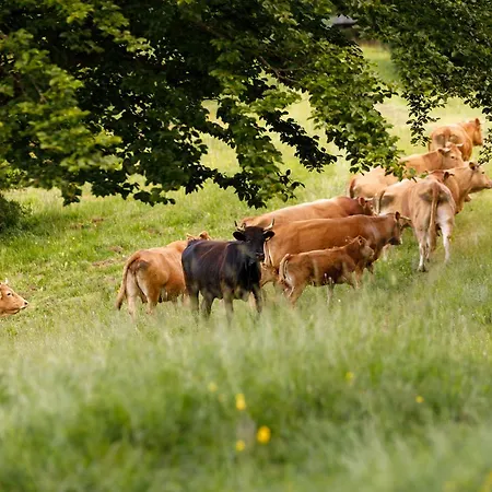 Carovane Séjour à la ferme *