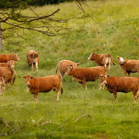 Séjour à la ferme Carovane