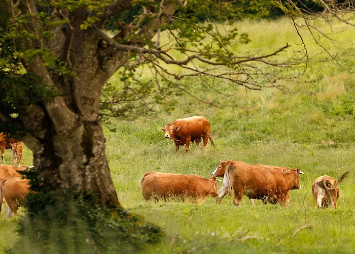 Κατάλυμα σε φάρμα Carovane *