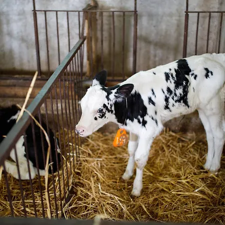 Carovane Vakantieboerderij Compiano