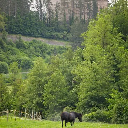 Vakantieboerderij Carovane