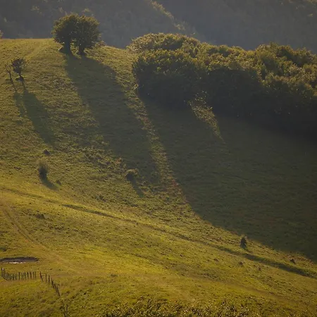 Vakantieboerderij Carovane Compiano