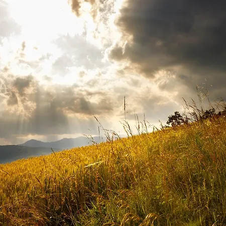 Vakantieboerderij Carovane