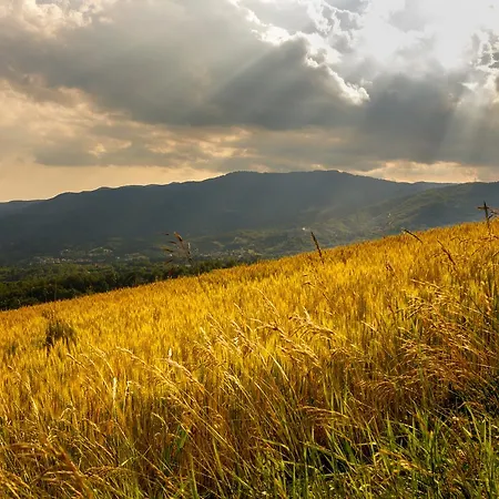 Carovane Vakantieboerderij *