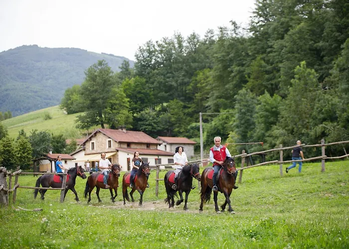 Carovane Farm stay *