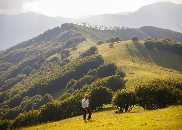 Carovane Farm stay *