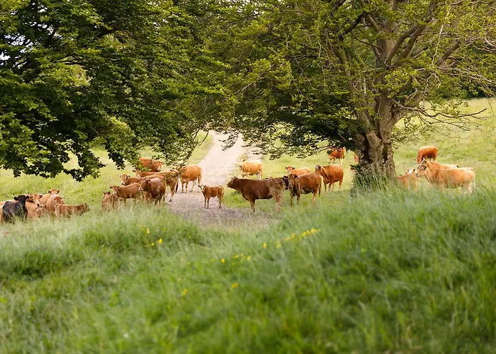 Farm stay Carovane Compiano