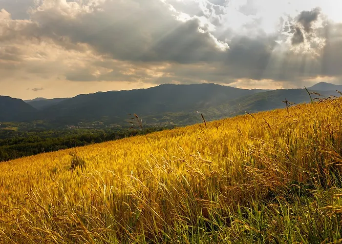 Carovane Farm stay *