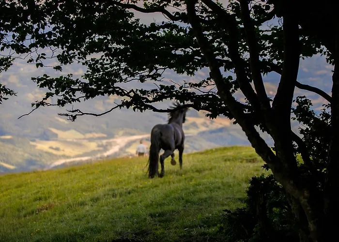 Carovane Farm stay Compiano