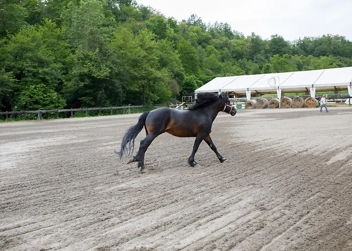 Carovane Farm stay Compiano