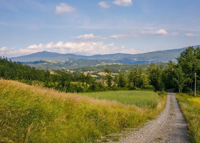 Carovane Farm stay *